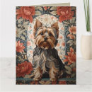 Pesquisar por proprietários cartoes For her