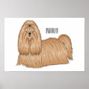 Pesquisar por shitzu pôsteres Shih tzu