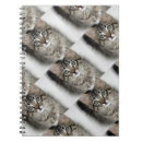 Pesquisar por olhos gato de cadernos de notas Animais