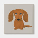 Pesquisar por salsichas imas Dachshund