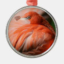Pesquisar por christmas flamingo ornamentos Feriado