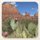 Pesquisar por gêmeos porta copos Natureza