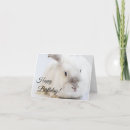 Pesquisar por funny bunny cartoes Cute