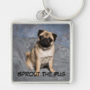 Pesquisar por filhote de cachorro do pug chaveiros Pugs