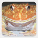 Pesquisar por sapo com coroa adesivos Anfíbio