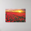 Pesquisar por tulipas impressão de canvas Primavera