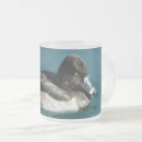 Pesquisar por pato branco canecas Aves aquáticas