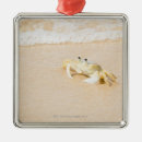 Pesquisar por rio ornamentos Natureza