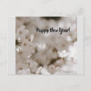 Pesquisar por deus criança cartoes postais Paz