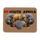 Pesquisar por animal selvagem imas Elefante