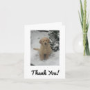 Pesquisar por golden retriever puppy cartoes Cute