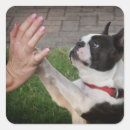 Pesquisar por pata do cão adesivos Fofofo