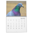 Pesquisar por pomba calendarios Pombo