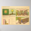Pesquisar por soviet pósteres pôsteres Propaganda