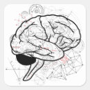 Pesquisar por cérebro adesivos Anatomia cerebral