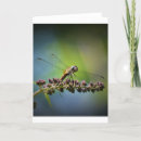 Pesquisar por dragonfly cartoes Natureza