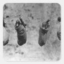 Pesquisar por patinhas adesivos Comprimento completo