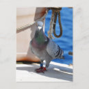 Pesquisar por mensageiro do cartoes postais Qualquer pessoa