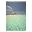 Pesquisar por westmorland de stuart fotografia Oceano