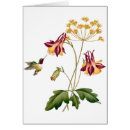 Pesquisar por do colibri Vintage