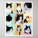 Pesquisar por pop gato artes pôsteres Retrô