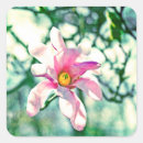 Pesquisar por tiffany adesivos Rosa