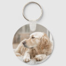 Pesquisar por golden retriever chaveiros Bonito