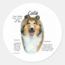 Pesquisar por rough collie adesivos Cão