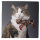 Pesquisar por gato de gato malhado azulejos Horizontal