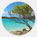 Pesquisar por st john adesivos Caribe