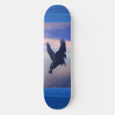 Pesquisar por pegasus skates Fantasia