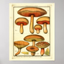 Pesquisar por botânica francesa artes pôsteres Vintage