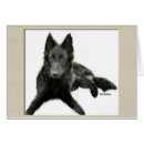 Pesquisar por sheepdog belga Arte