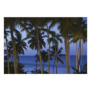 Pesquisar por dominicana pósteres pôsteres Hispaniola