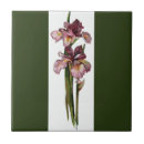 Pesquisar por roxo escuro azulejos Flor