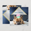 Pesquisar por bulldog convites Animal