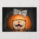 Pesquisar por cabelo animal convites Humor