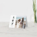 Pesquisar por pata cartoes Cão