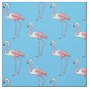 Pesquisar por desenho flamingo Pássaro