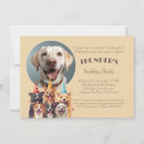 Pesquisar por dogge For pets