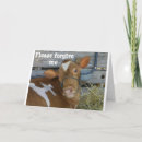 Pesquisar por esquecer cartoes Atrasado