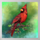 Pesquisar por pássaro vermelho pósteres pôsteres Pintura