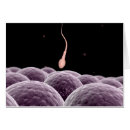 Pesquisar por sistema reprodutivo cartoes postais Trabalho de arte