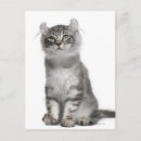 Pesquisar por meses postais postais cartoes postais Natureza