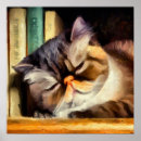 Pesquisar por gatos exóticos pôsteres Felino