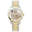 Pesquisar por nossa para animais para animais relogios Cães