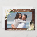 Pesquisar por lanterna verde convites Foto