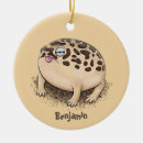 Pesquisar por desenhos animados sapo ornamentos Bonito