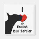 Pesquisar por bull terrier casa imas Qualquer pessoa