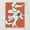 Pesquisar por wile e coyote cartoes postais Toninha